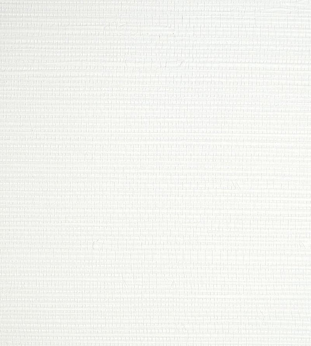 Scalamandre Savanna Seedling Froth Wallpaper SCWP884420015