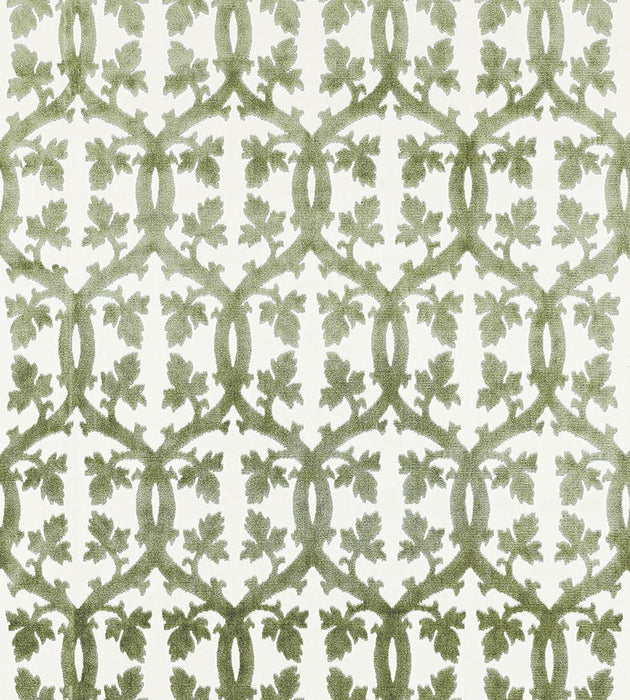 Scalamandre Falk Manor House Green Tea Fabric Sample SC26690M0016