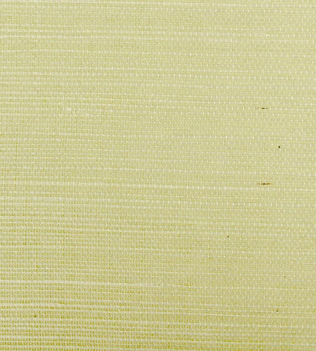 Scalamandre Sisal Spring Wallpaper SCG11930017