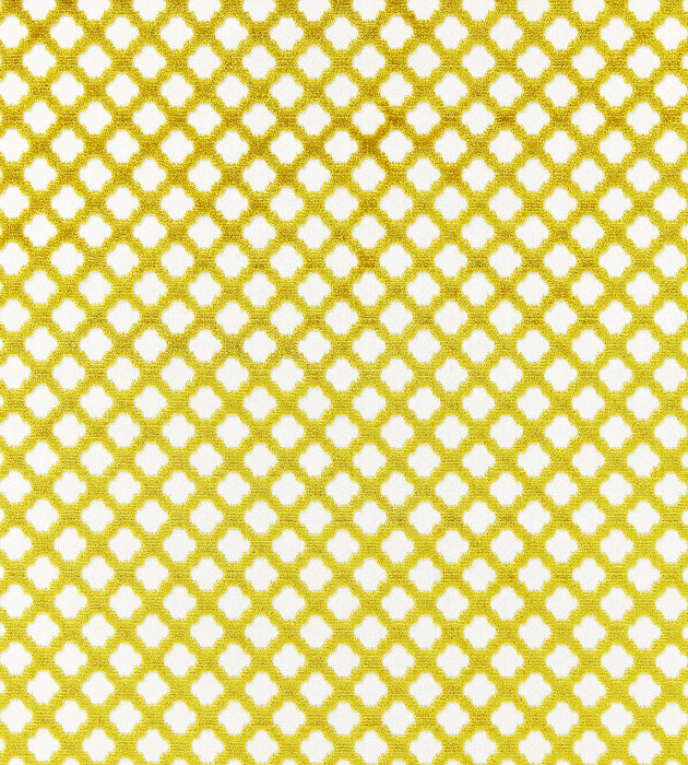 Scalamandre Pomfret Chartreuse Fabric SC26692M0020
