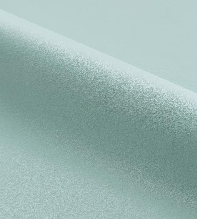 Scalamandre Clark - Outdoor Spa Fabric SC272630020