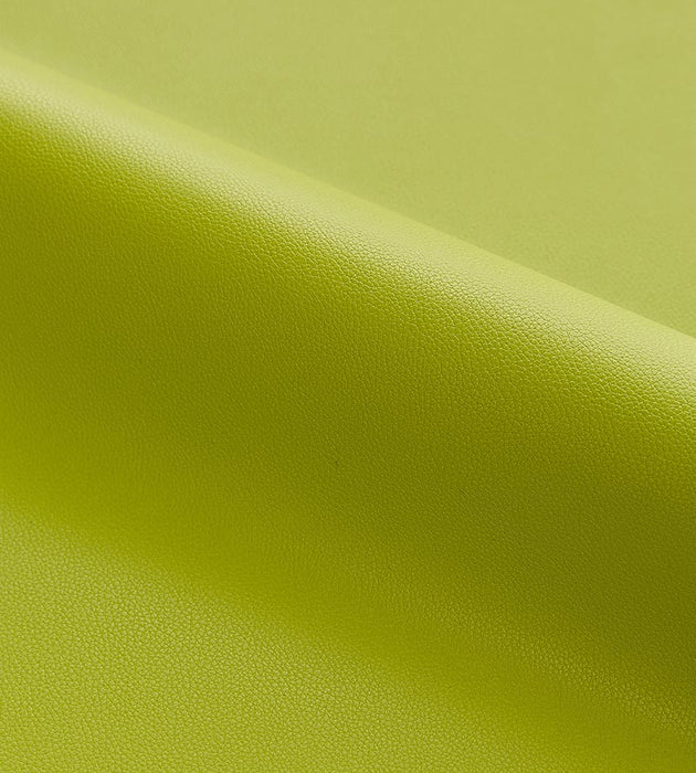 Scalamandre Clark - Outdoor Leek Fabric Sample SC272630026