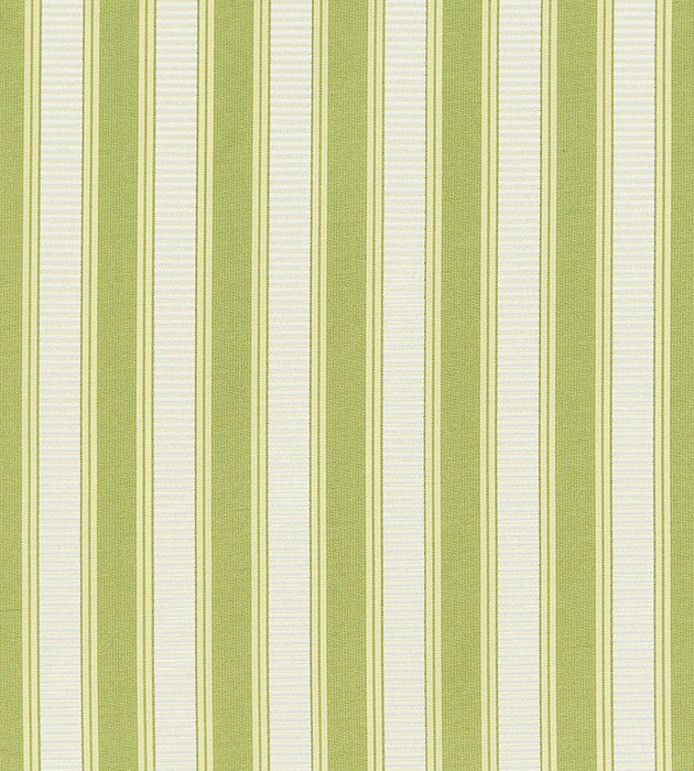 Scalamandre Shirred Stripe New Leaf Fabric Sample SC121M0031