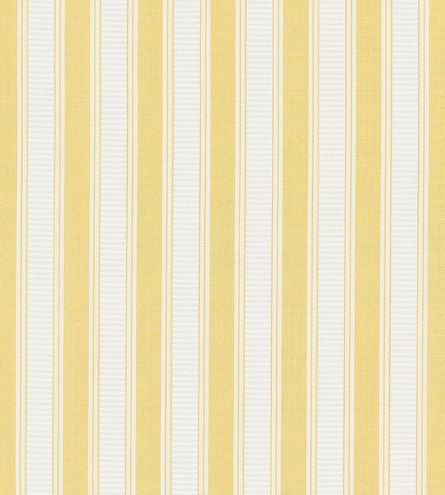 Scalamandre Shirred Stripe Sunray Fabric Sample SC121M0032