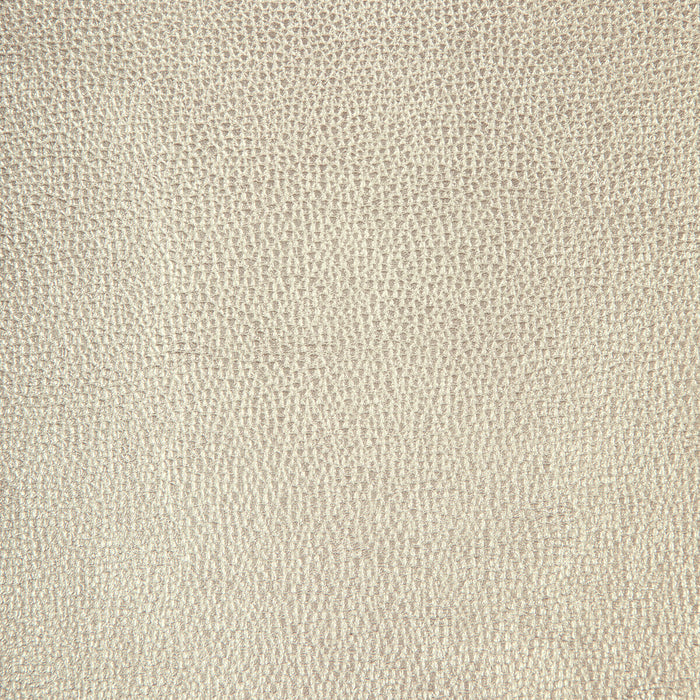 Kravet Design SPARTA.1101.0 Fabric Sample
