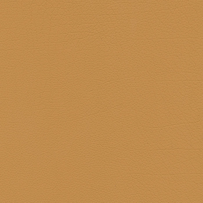 Kravet Design SUMAC.64.0 Fabric