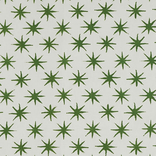 Peter Dunham Starstruck - Outdoor Green Fabric Sample 139STS02