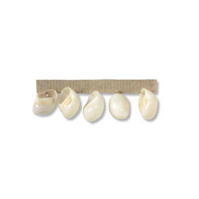 Kravet Couture Pearl Shells Salt Trim Sample T30448.1.0