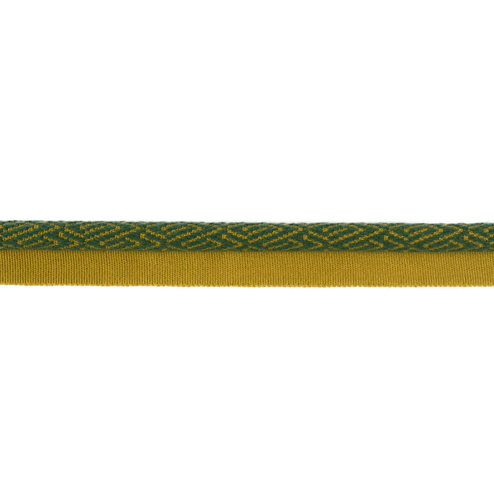 Kravet Design Twiga Landscape Trim Sample T30726.344.0