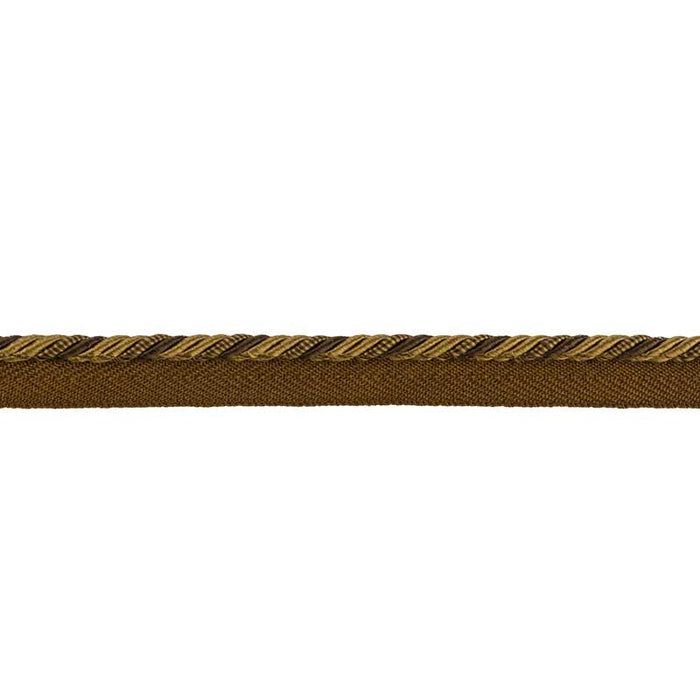 Brunschwig & Fils Soie Cord Petite Tobacco Trim Sample T8012525.6.0