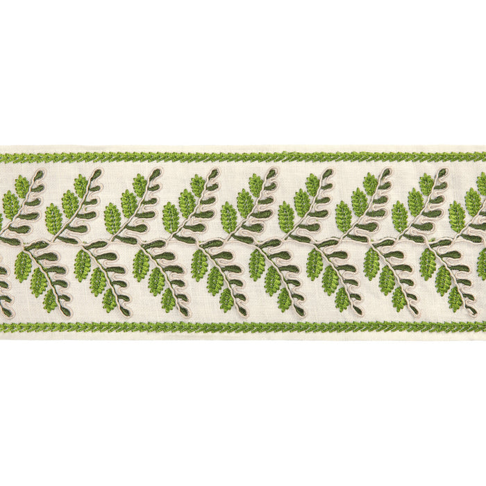 Brunschwig & Fils Fougere Border Leaf Trim Sample T8024100.3.0