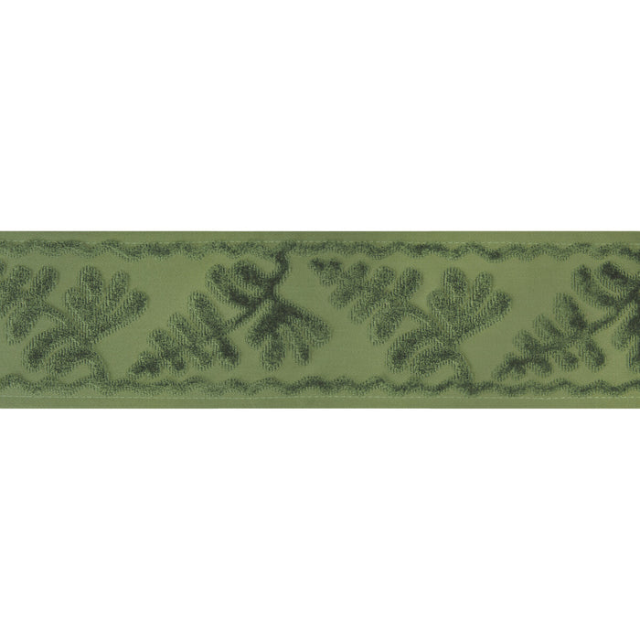 Brunschwig & Fils Cassis Tape Sage Trim Sample T8024101.30.0