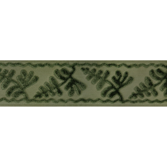 Brunschwig & Fils Cassis Tape Peridot Trim Sample T8024101.3.0