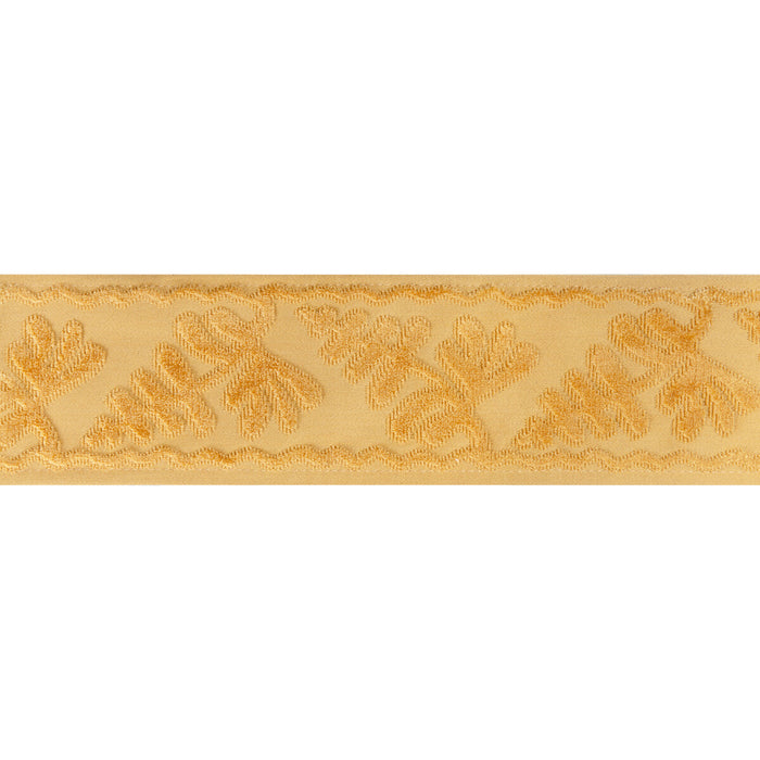 Brunschwig & Fils Cassis Tape Gold Trim Sample T8024101.4.0