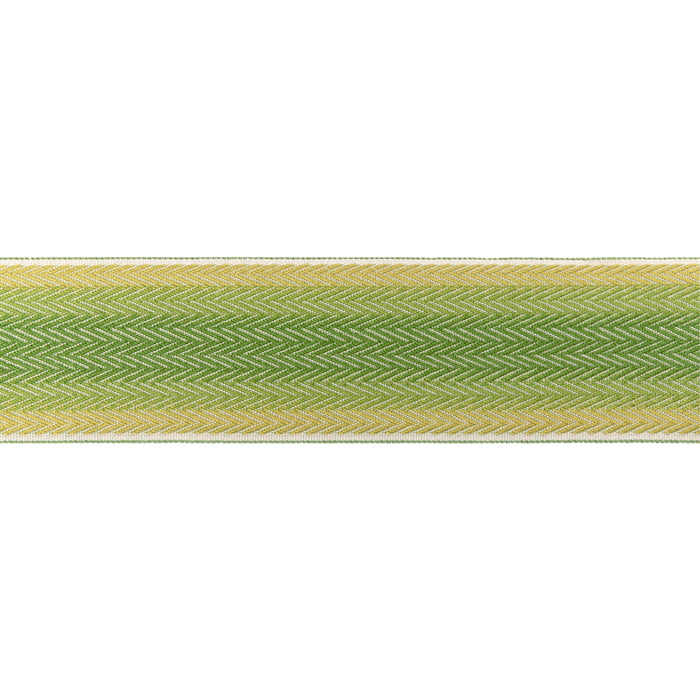 Brunschwig & Fils Barfleur Tape Leaf Trim T8024105.3.0