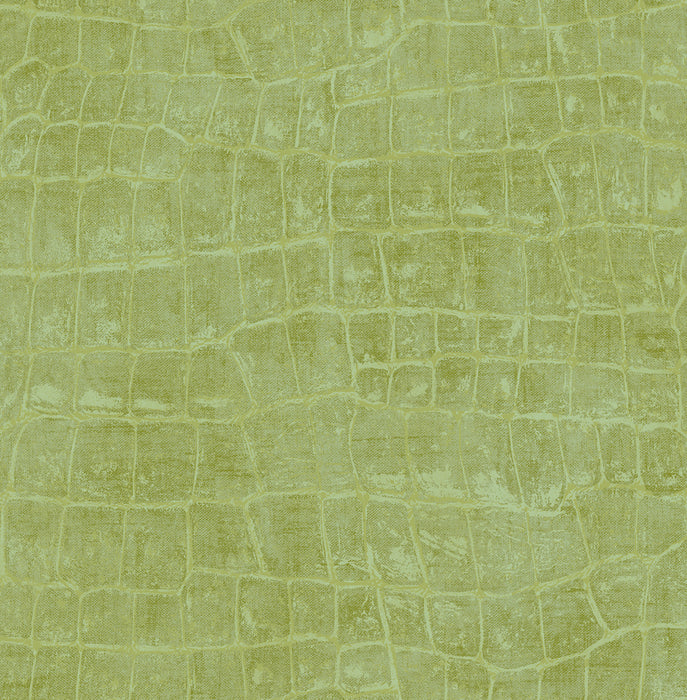 Seabrook Designs Curacao Apple Green Wallpaper Sample TA20504
