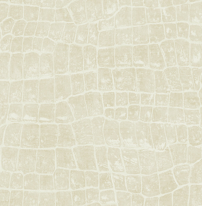 Seabrook Designs Curacao Beige Wallpaper Sample TA20505