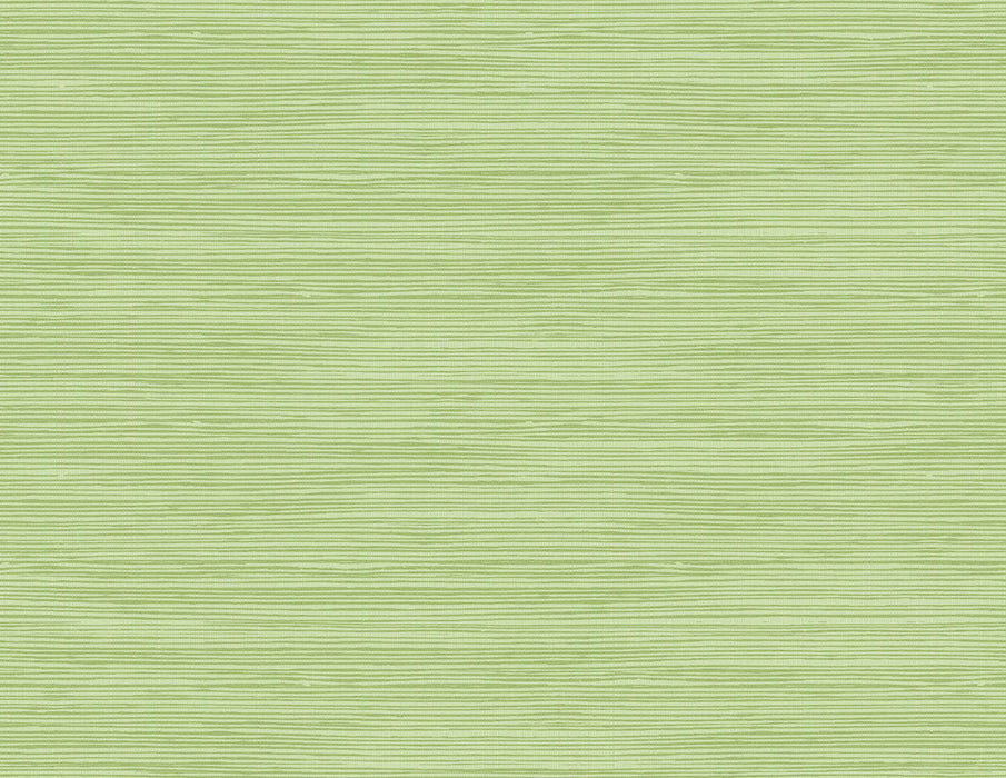 Seabrook Designs Jamaica Grass Olive Green Wallpaper Sample TA21704