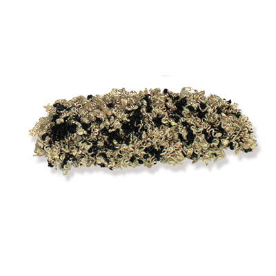 Kravet Design Poodle 816 Trim Sample TA3000.816.0