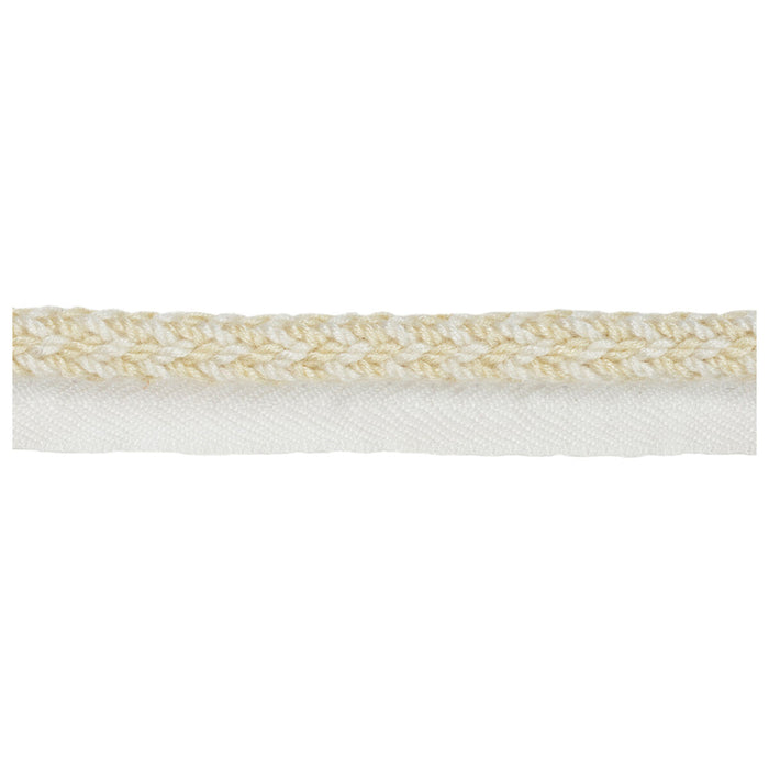 Kravet Design Vine Cord Sea Salt Trim Sample TA5323.1.0
