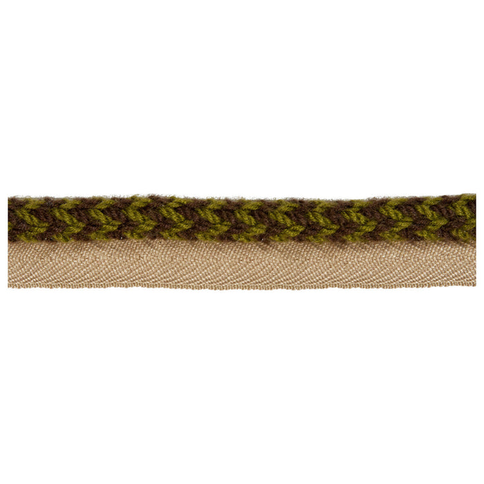 Kravet Design Vine Cord Lichen Trim Sample TA5323.36.0