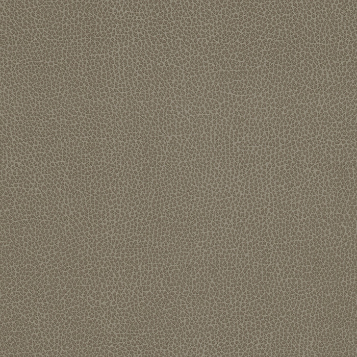 Kravet Design TANNIN.21.0 Fabric