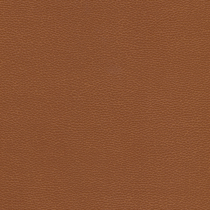 Kravet Design TANNIN.6.0 Fabric