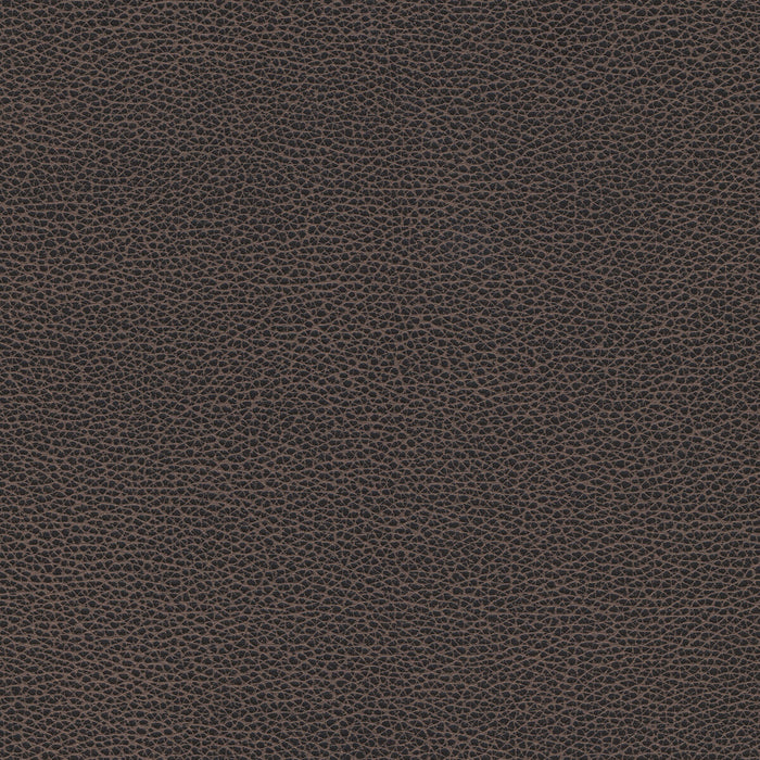 Kravet Design TANNIN.8.0 Fabric