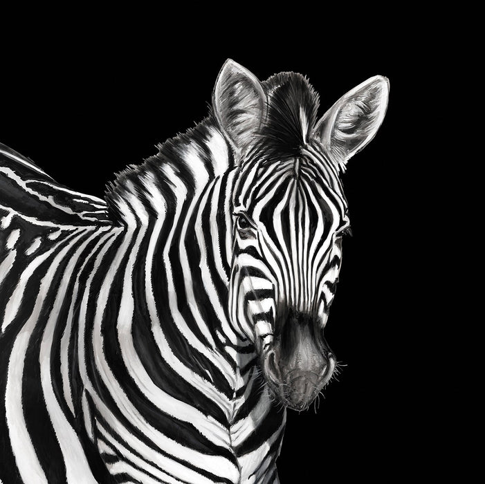 Seabrook Designs Zebra Mural Lucia Wallpaper TCW001TCAI5UZ005