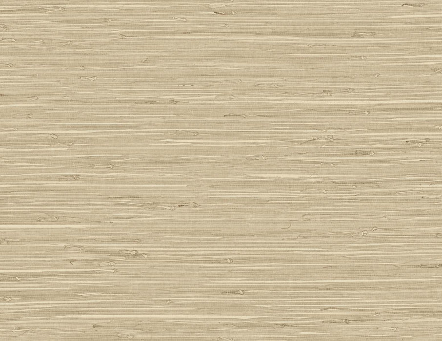 Seabrook Designs Marion Faux Arrowroot Chestnut Wallpaper Sample TG60516