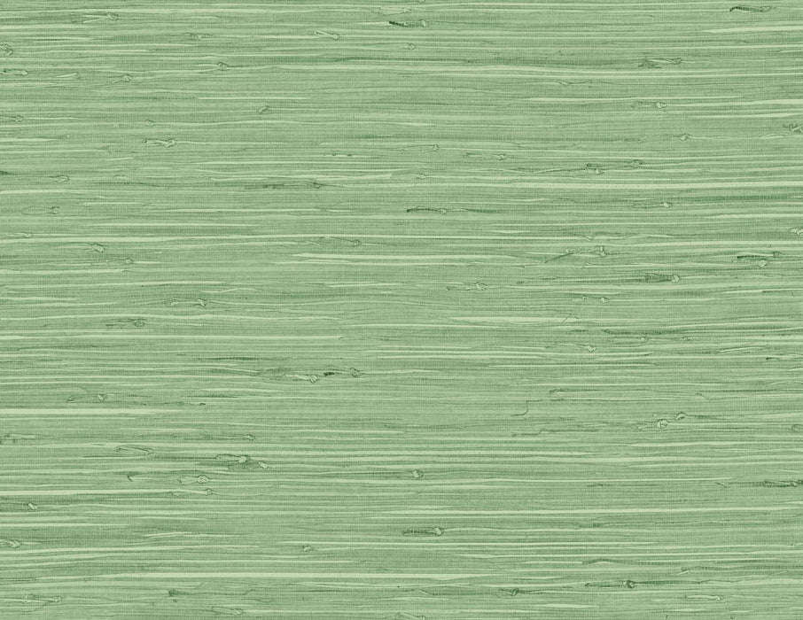 Seabrook Designs Marion Faux Arrowroot Spring Forest Wallpaper Sample TG60534
