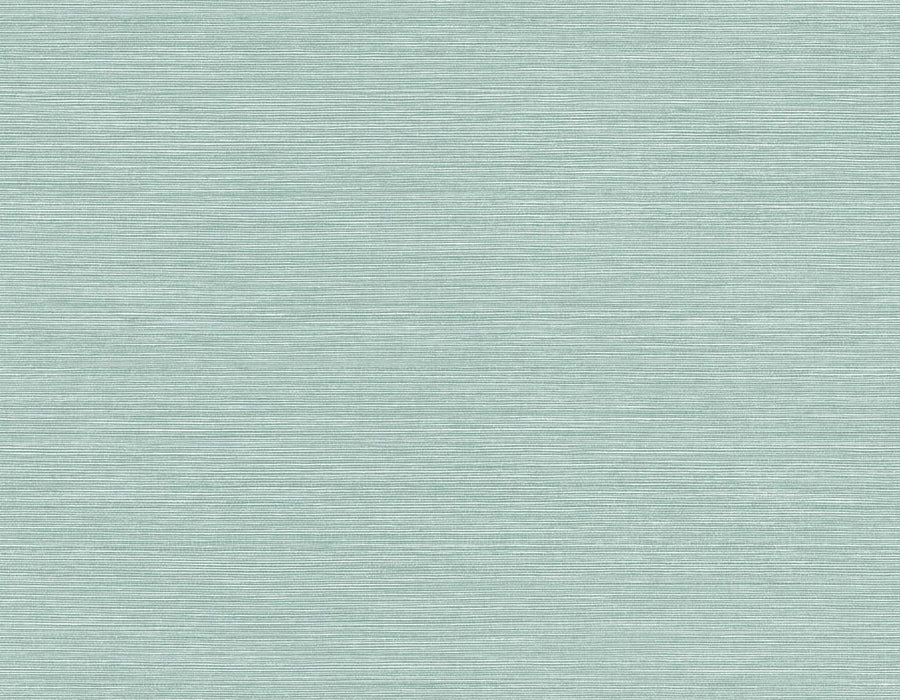 Seabrook Designs Seawave Sisal Calm Waters Wallpaper Sample TS82006