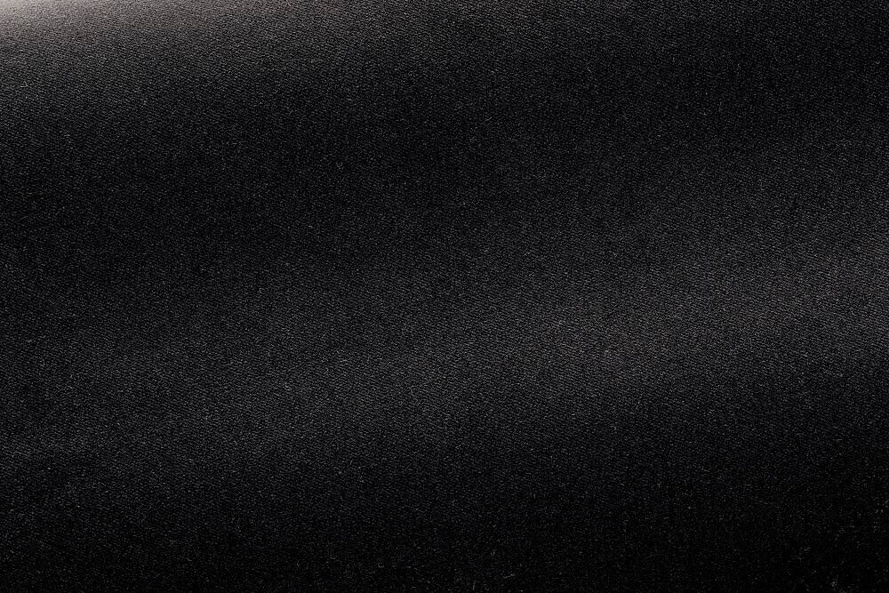 Pierre Frey Gaspard Noir Fabric Sample F3070010