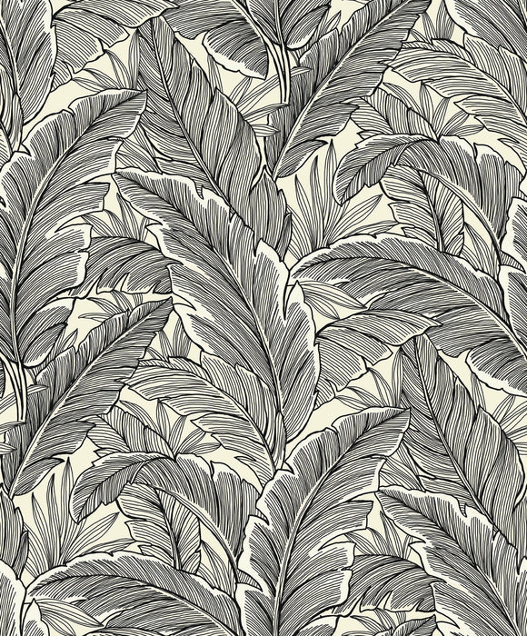 Seabrook Designs Tropical Leaves Pearl & Ebony Wallpaper Sample UK10005