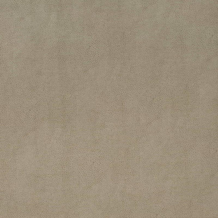 Charlotte Flint Fabric V863