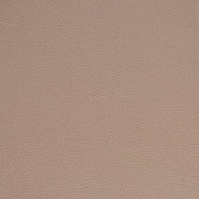 Charlotte Clay Fabric V875