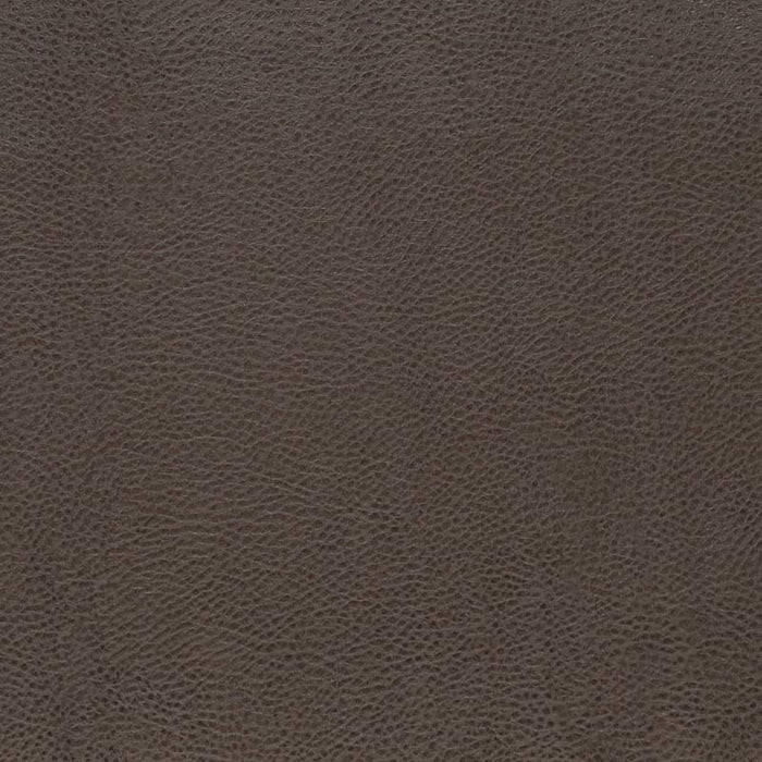Charlotte Graphite Fabric V876