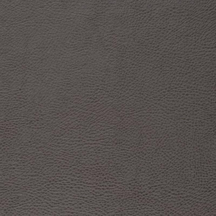 Charlotte Lead Fabric V877