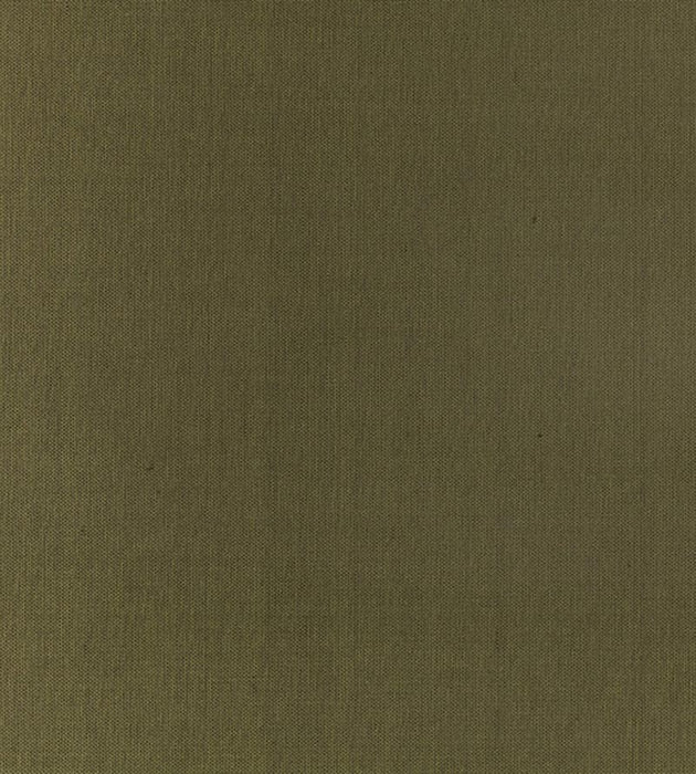 Old World Weavers Pacific Silk Poplar Fabric Sample VP10050345