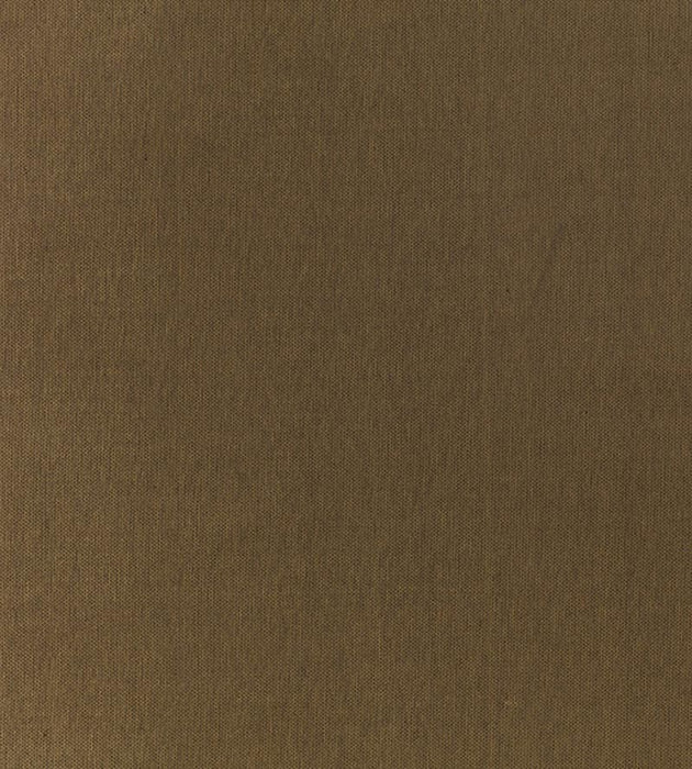 Old World Weavers Pacific Silk Olive Fabric Sample VP10050349