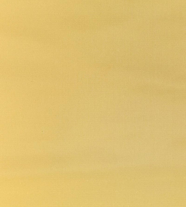 Old World Weavers Pacific Silk Pineapple Fabric Sample VP10050401