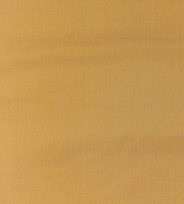 Old World Weavers Pacific Silk Mango Fabric Sample VP10050430