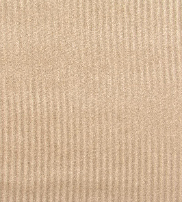 Old World Weavers Glamour Velvet Brush Fabric VPGLAM0762