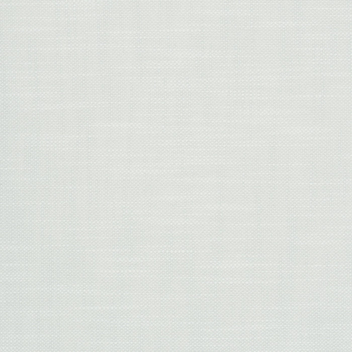 Scalamandre Neoma Dove Fabric VW01170012