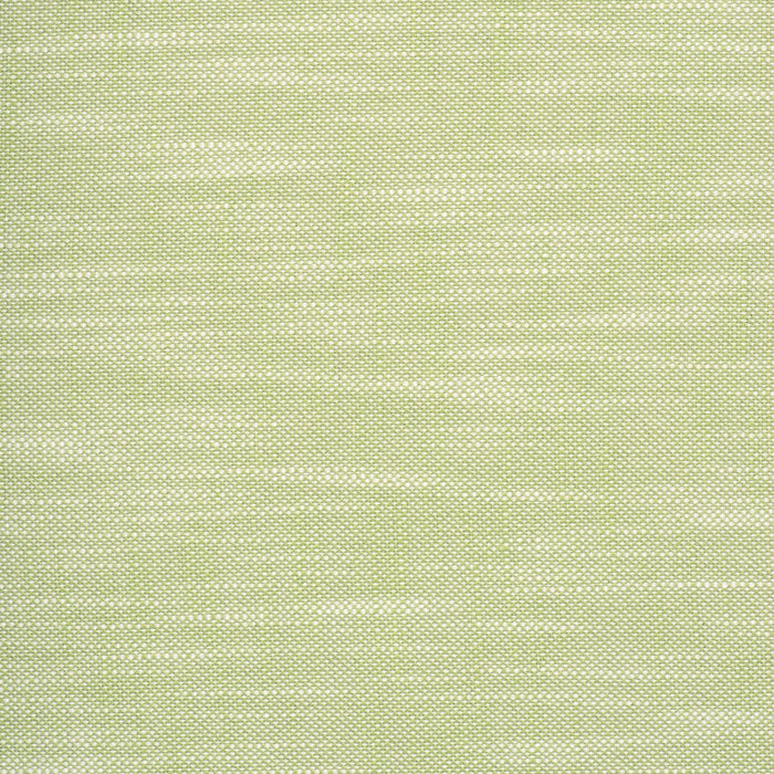 Scalamandre Neoma Celery Fabric Sample VW01170018