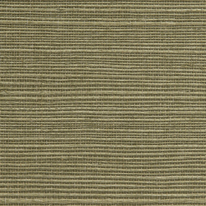 Holly Hunt Walls Tanga Sage Wallpaper Sample W1081/09