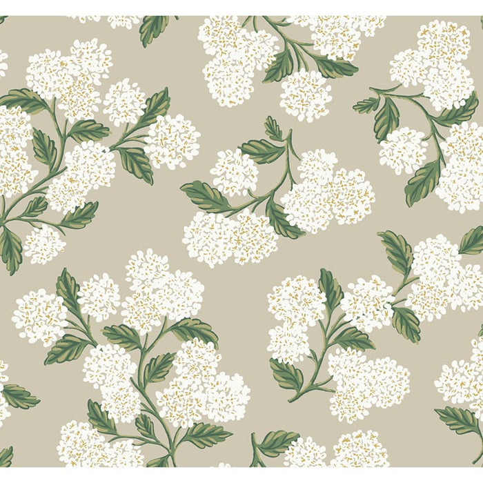 Kravet Design W3952 31 Wallpaper Sample W3952.31.0