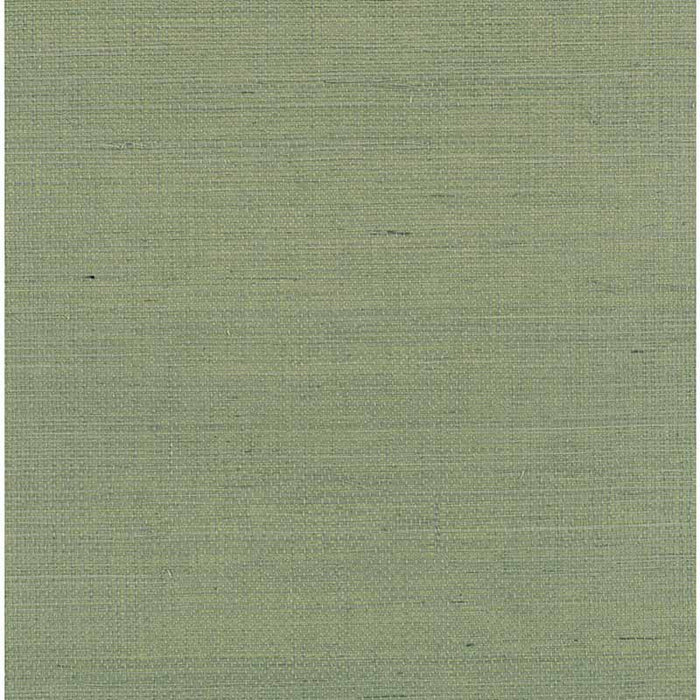 Winfield Thybony Distinctive Sisals Cactus Wallpaper Sample WDW2412.WT.0