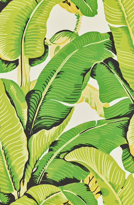 Hinson Hinson Palm Mojito Wallpaper Sample WHN44000M0001