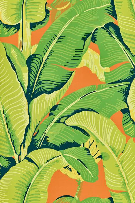 Hinson Hinson Palm Aperol Spritz Wallpaper WHN44000M0002